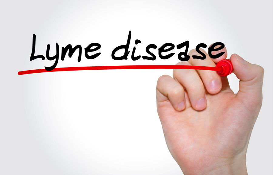 Lyme Disease Long Term Disability Claims Attorney